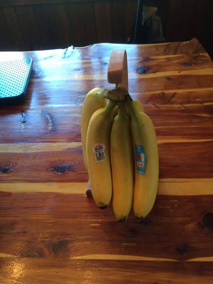 Banana Tree / Hook