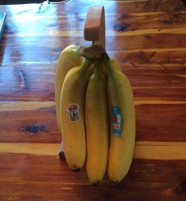 Banana Tree / Hook