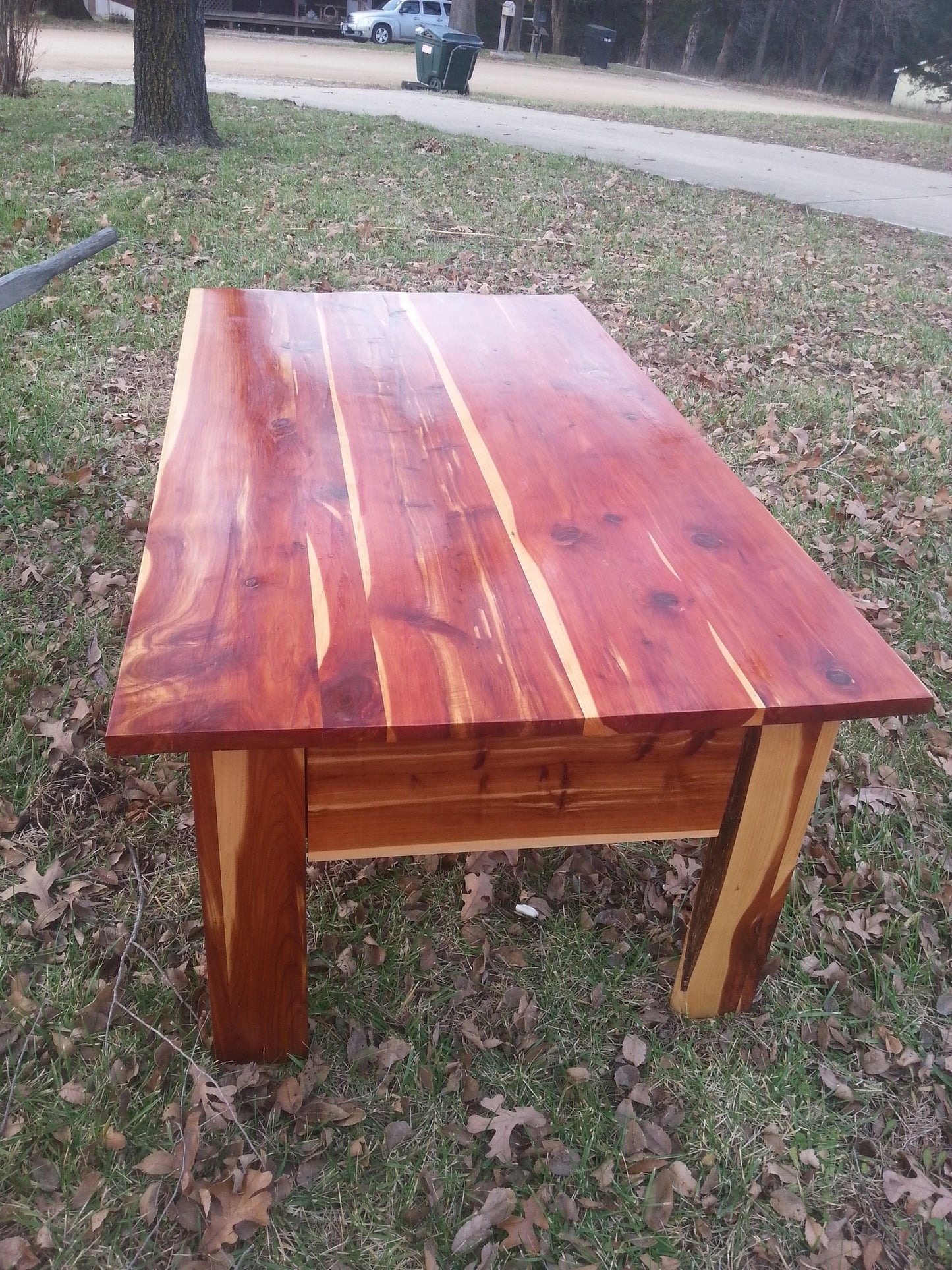 5 foot Live Edge Cedar Coffee Table