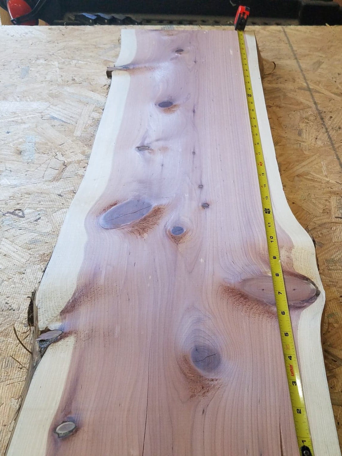 3' Live Edge Slabs