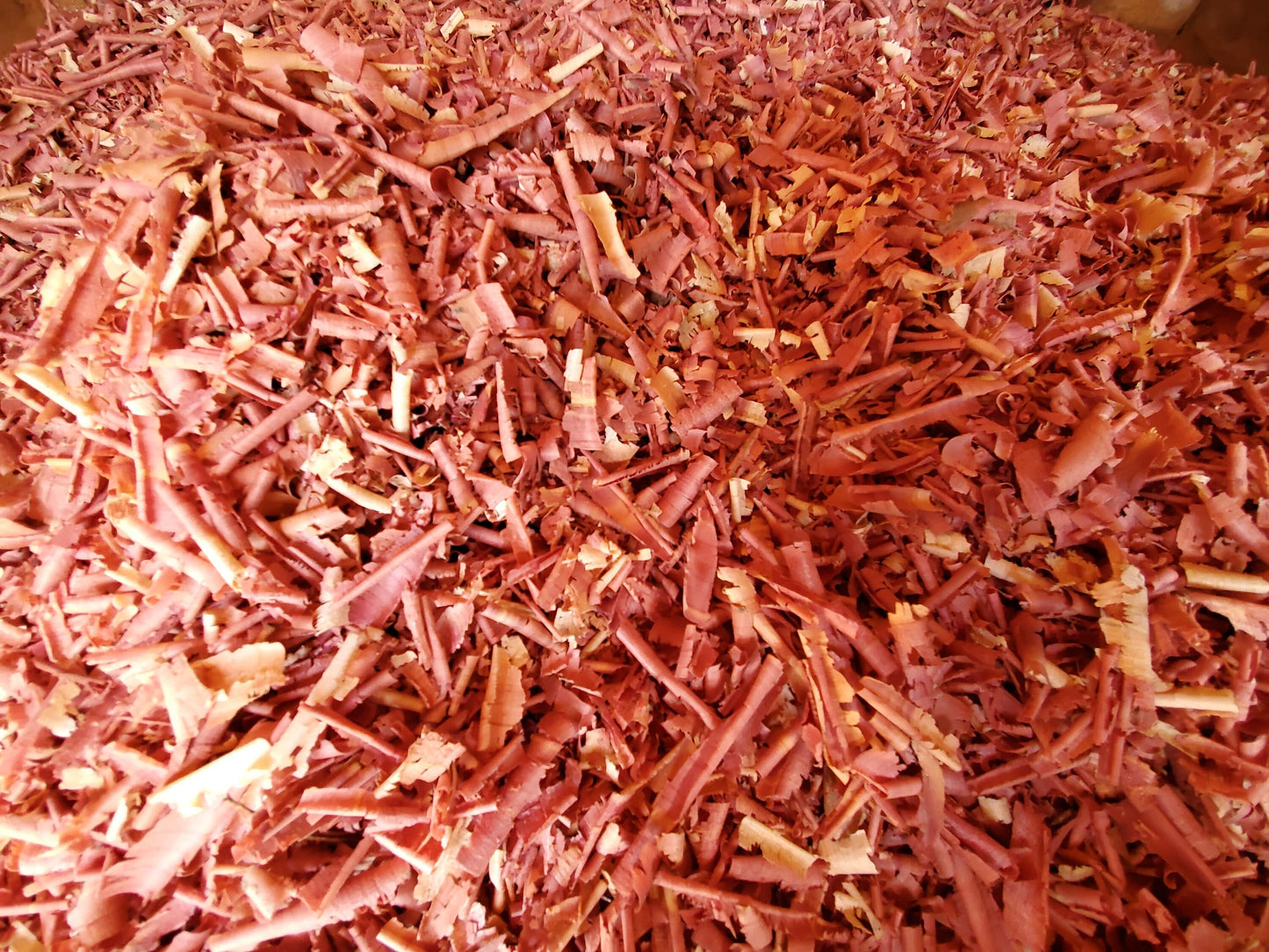 Cedar Shavings ~ by the cupful