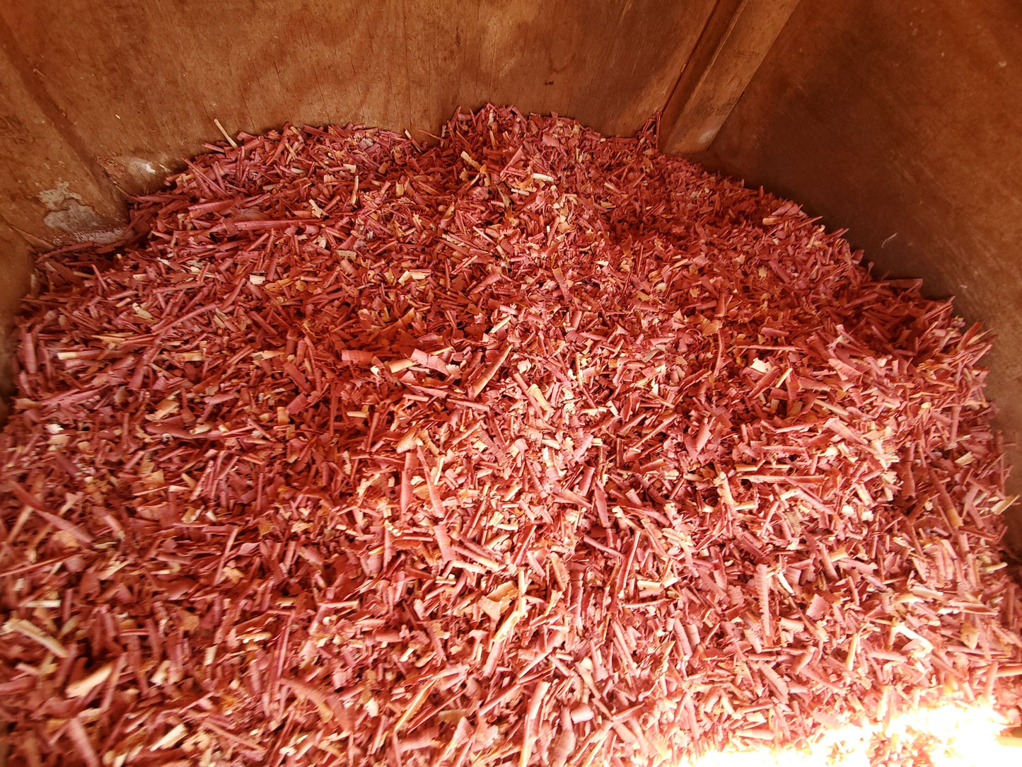 Cedar Shavings ~ by the cupful