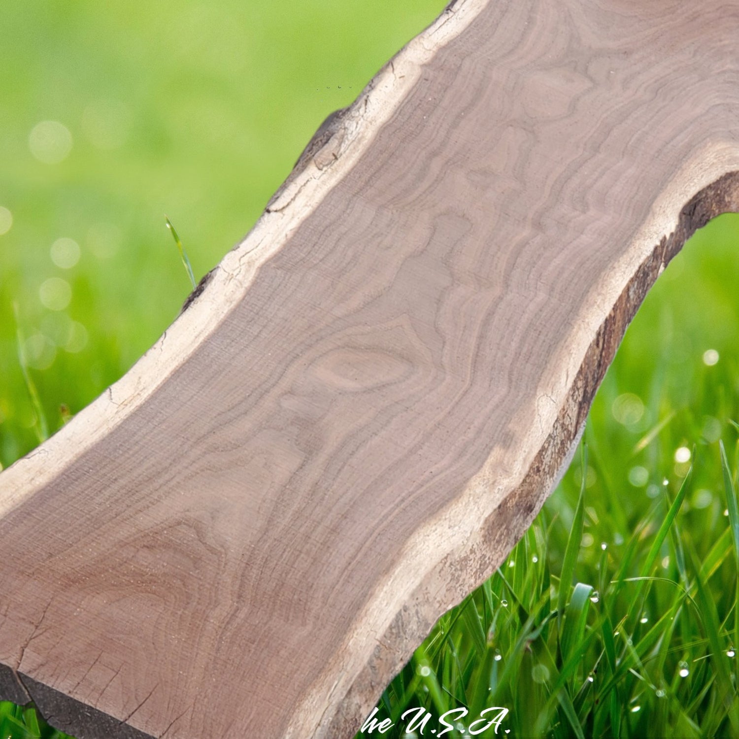 Cedar and Walnut Slabs & Project Materials