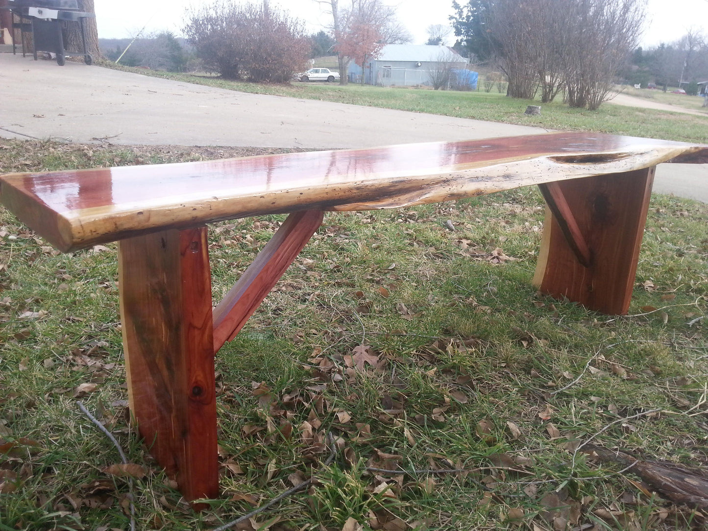 Cedar Bench with Live Edge