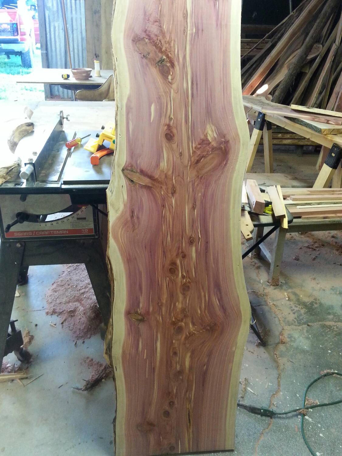 Live Edge Wood Slab