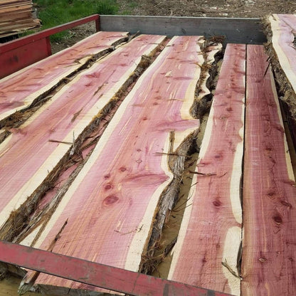 5 Ft Live Edge Cedar Slab