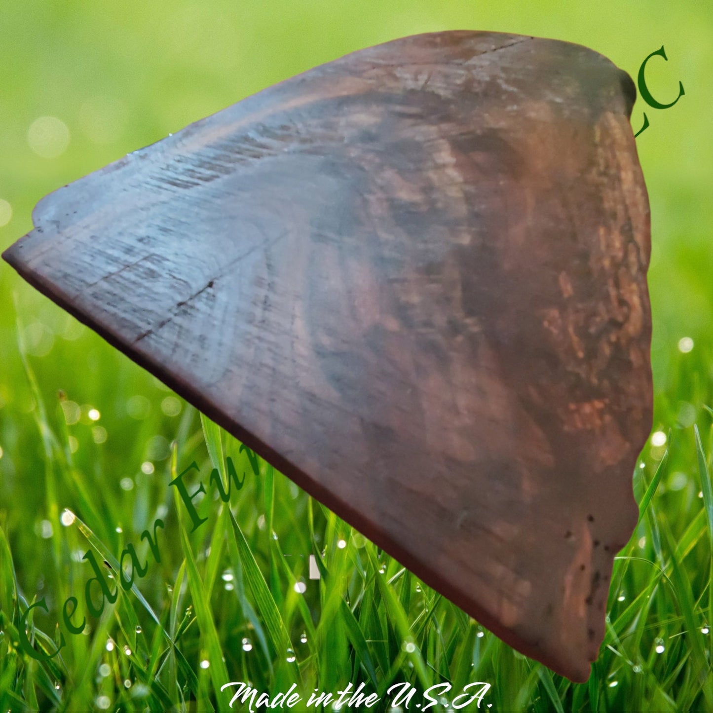 Unique Walnut Serving Piece
