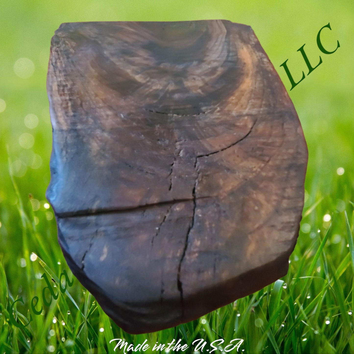 Unique Walnut Serving Piece