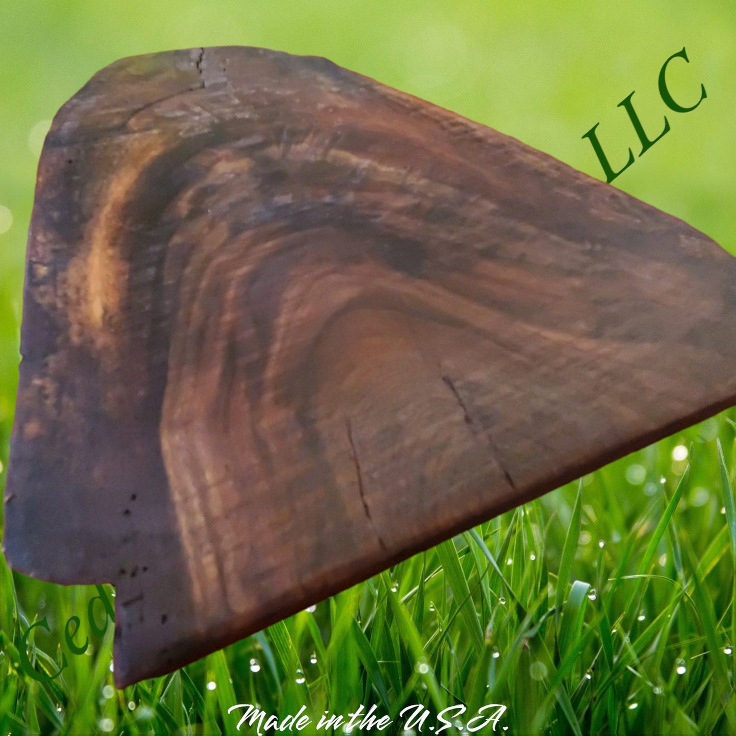 Unique Walnut Serving Piece